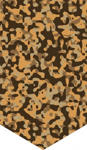 Background Camo 4