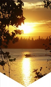 Background Golden Pond