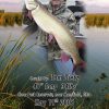 Fishing - Image 2